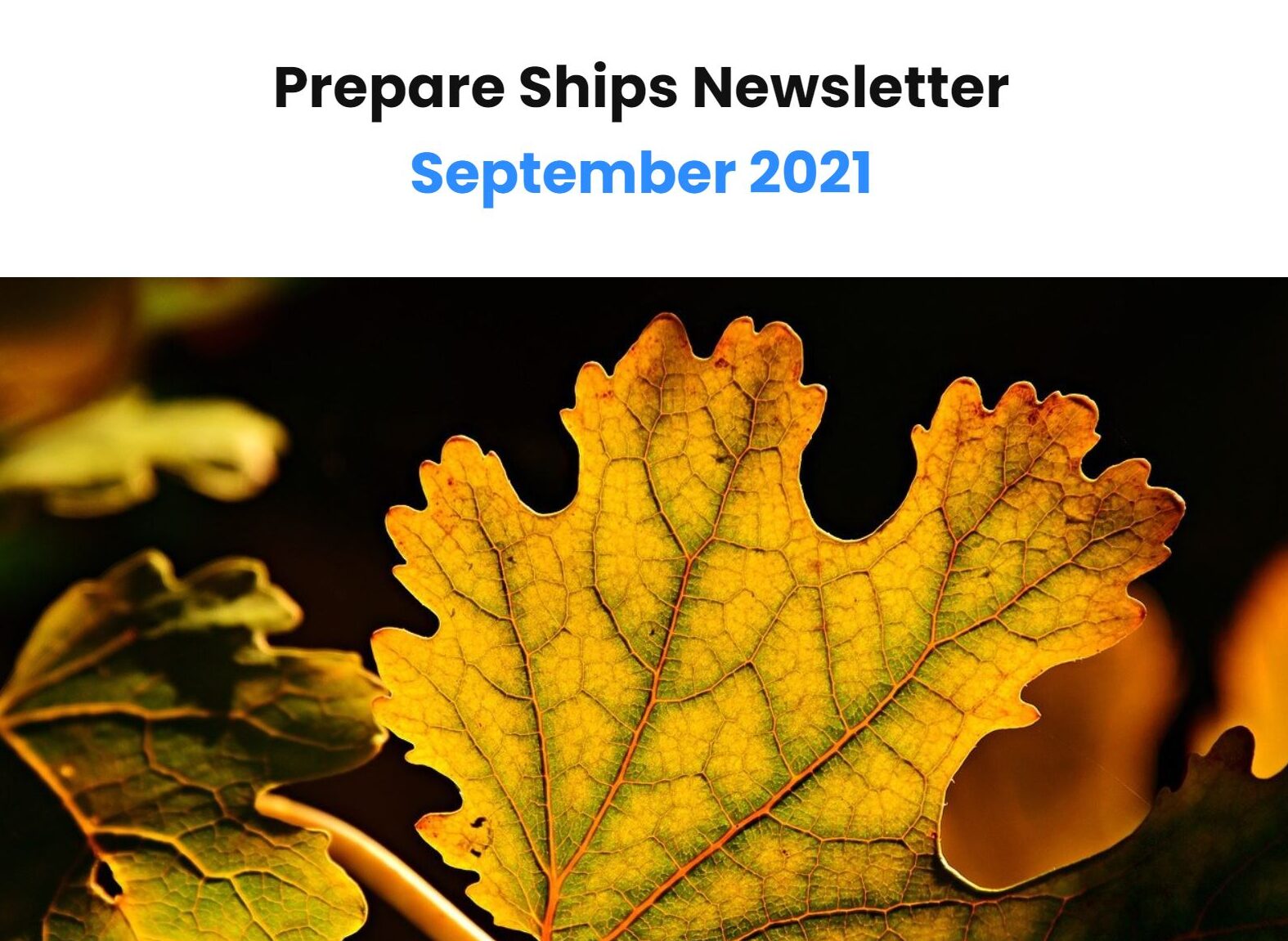 Did you miss our last newsletter for September?